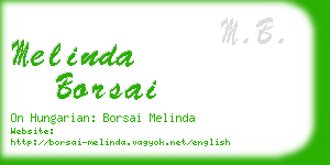 melinda borsai business card